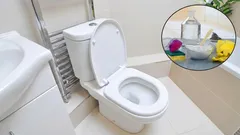 Zeg vaarwel tegen onaangename geurtjes uit het riool en de waterleiding in het toilet: de ideale oplossing voor een onberispelijke badkamer.